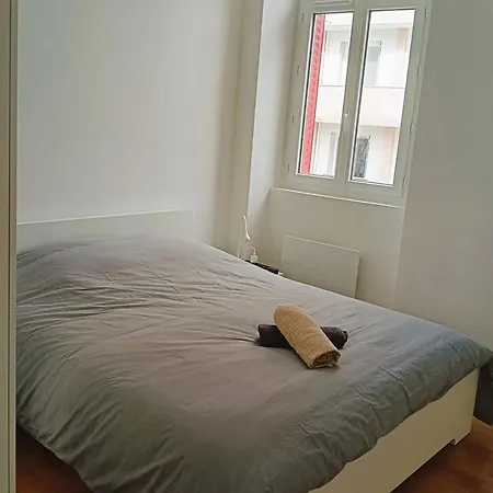 102 - Renove Avec Grand Salon Et 1 - Tram Et Clinique Mutualiste A 1 Min * Grenoble