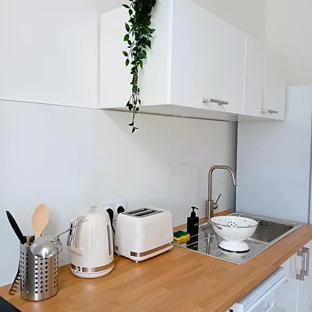 102 - Renove Avec Grand Salon Et 1 - Tram Et Clinique Mutualiste A 1 Min Appartement Grenoble