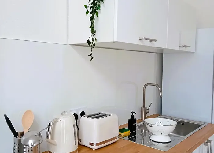 102 - Renove Avec Grand Salon Et 1 - Tram Et Clinique Mutualiste A 1 Min Apartament Grenoble