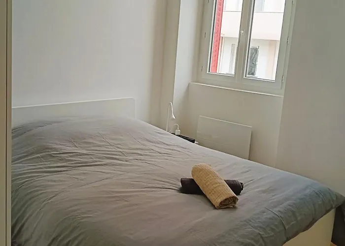 102 - Renove Avec Grand Salon Et 1 - Tram Et Clinique Mutualiste A 1 Min * Grenoble