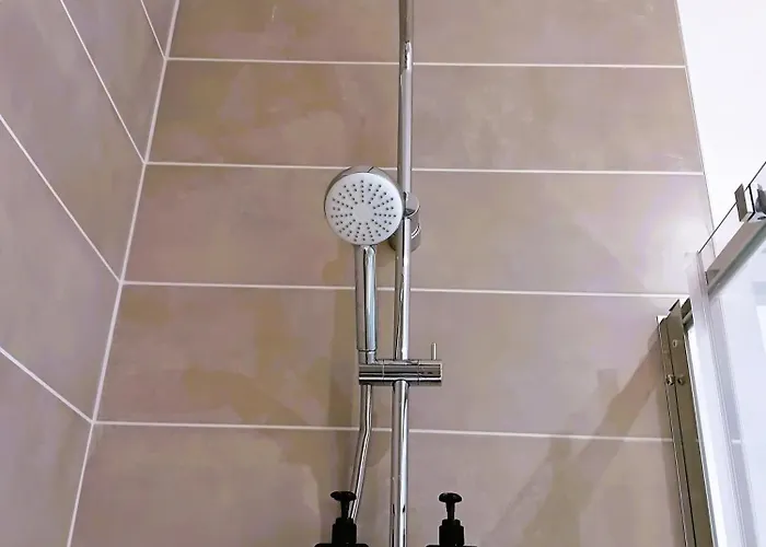 102 - Renove Avec Grand Salon Et 1 - Tram Et Clinique Mutualiste A 1 Min דירה