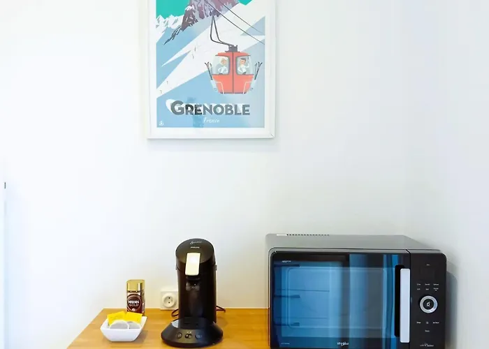 102 - Renove Avec Grand Salon Et 1 - Tram Et Clinique Mutualiste A 1 Min Grenoble